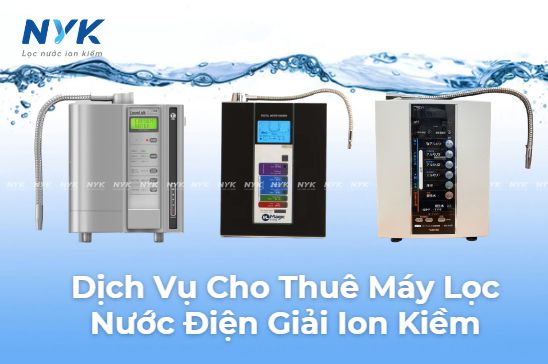 Thuê Máy Điện Giải: Lựa Chọn Kinh Tế Cho Gia Đình