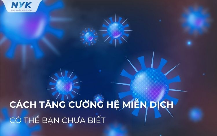 Cách Tăng Cường Hệ Miễn Dịch Hiệu Quả Có Thể Bạn Chưa Biết!