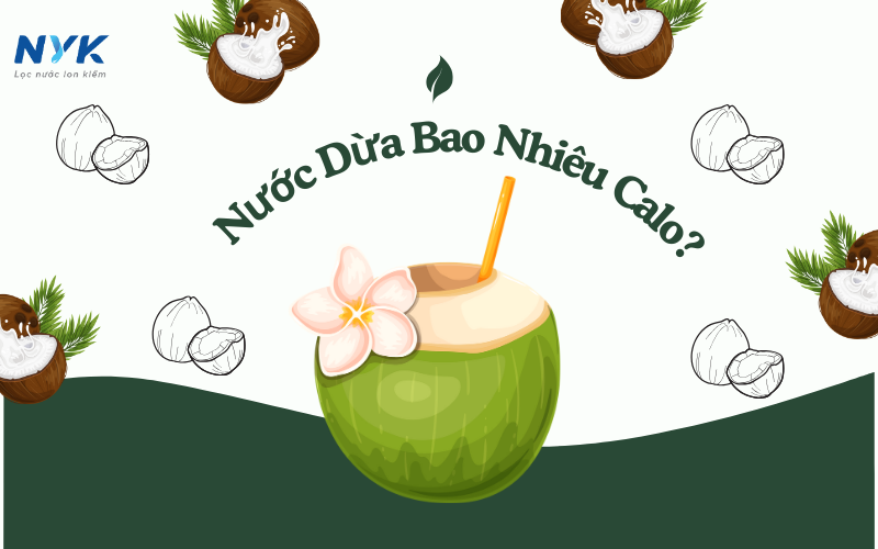 Nước Dừa Bao Nhiêu Calo?