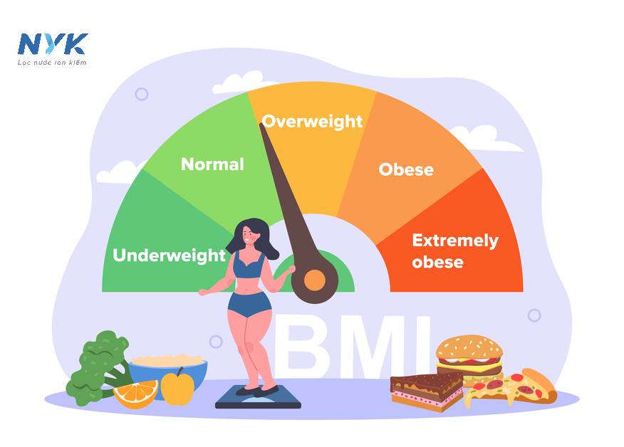 Tìm Hiểu Chỉ Số BMI Và Hướng Dẫn Cách Tính Chỉ Số BMI