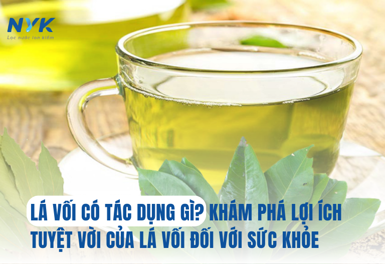 Lá Vối Có Tác Dụng Gì? Khám Phá Lợi Ích Tuyệt Vời Của Lá Vối Đối Với Sức Khỏe | NYK