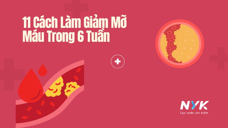 11 Cách Làm Giảm Mỡ Máu Trong 6 Tuần