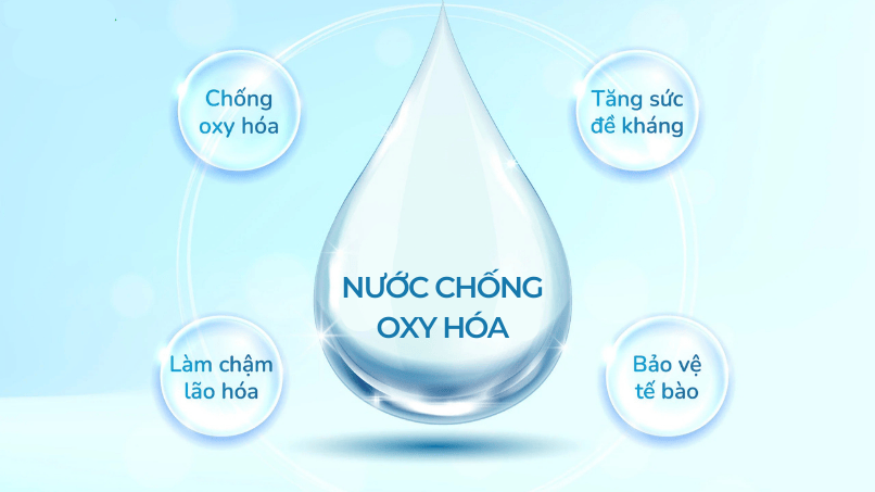 Nước Chống Oxy Hóa – Bảo Vệ Sức Khỏe Từ Bên Trong