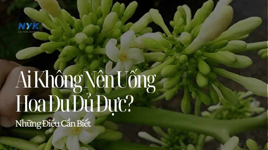 Ai Không Nên Uống Hoa Đu Đủ Đực? Lý Do Và Những Điều Cần Biết