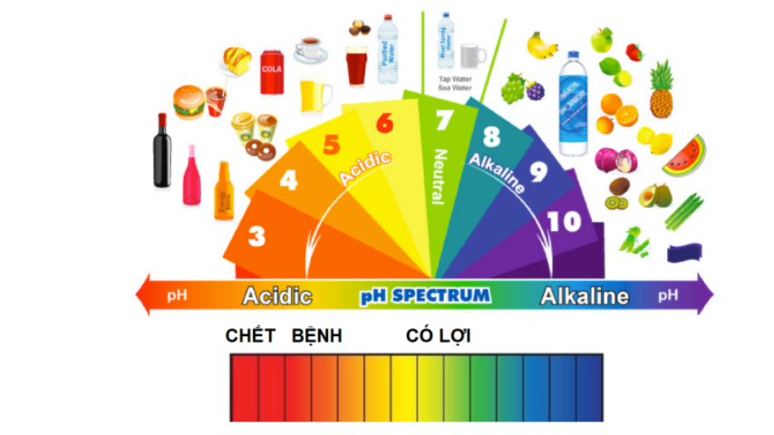 Alkaline Water đã trở thành xu hướng chăm sóc sức khỏe hiện đại