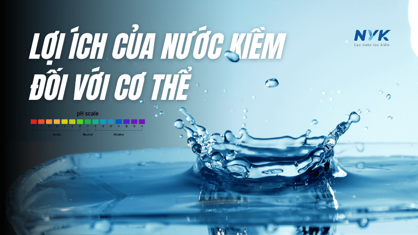 Lợi Ích Của Nước Kiềm Đối Với Cơ Thể