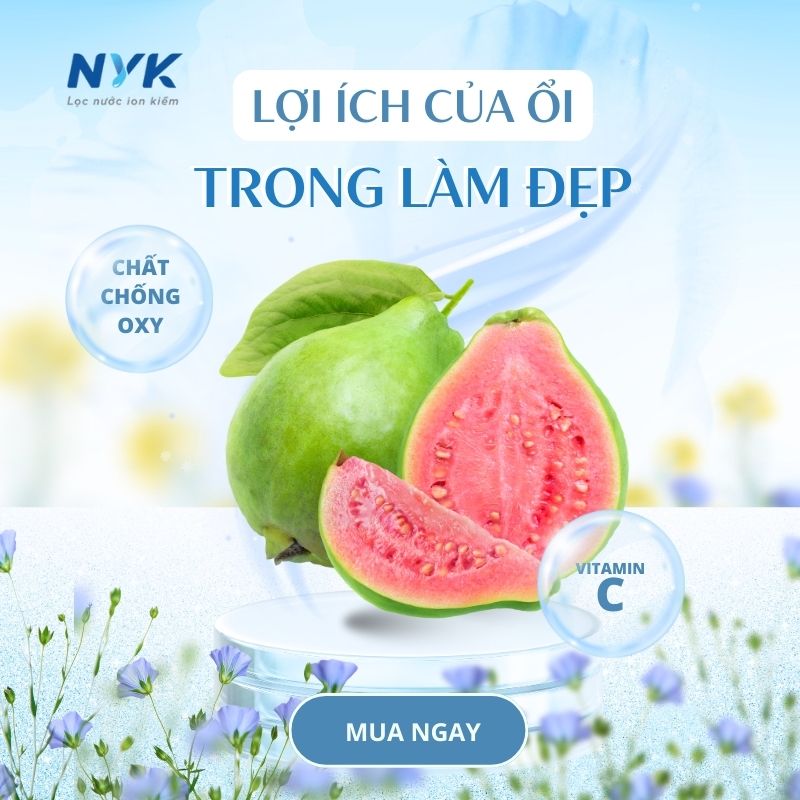 lợi ích của ổi với sức khỏe